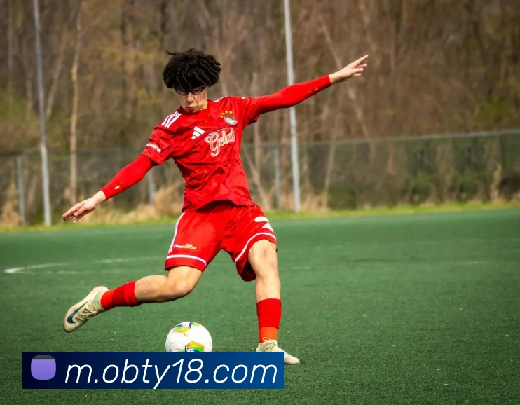 ob欧宝官网服务体系